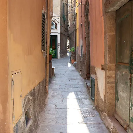 Mezza Galea
